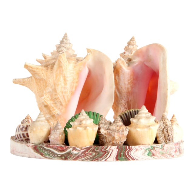 Vintage 1970's Nautical Double Conch Shell Lamp For Sale