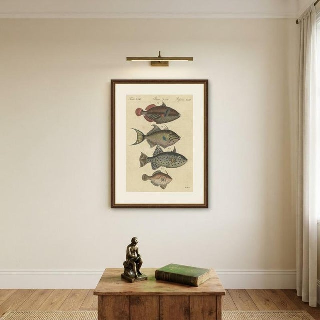 Bertuch, Triggerfish and Filefish from Tropical Reefs, 1815, Print For Sale - Image 10 of 12