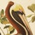 1990s 1990s Brown Pelican After Audubon, Large Cottage Print For Sale - Image 5 of 10