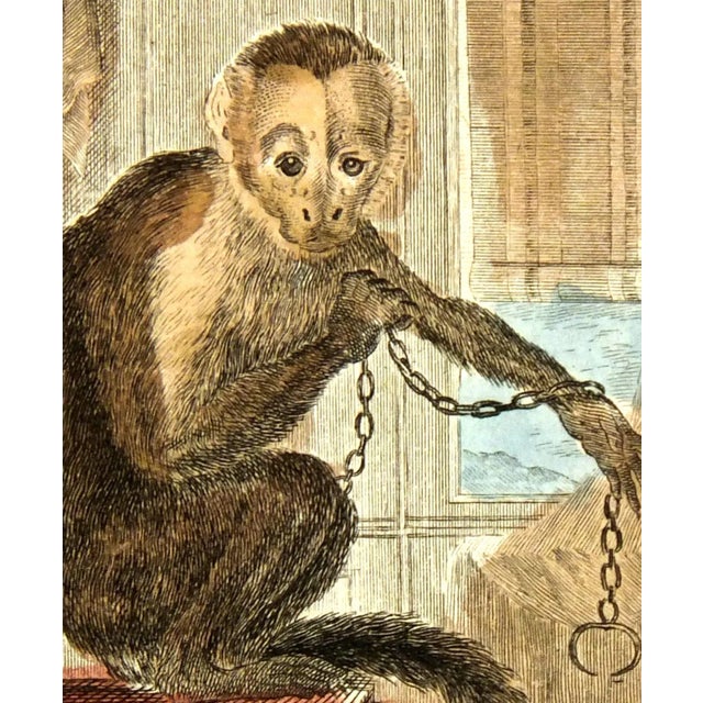 Hand-colored antique copper engraving of monkey in domestic setting, circa 1780. Titled "Le Saï à Gorge Blanche"....