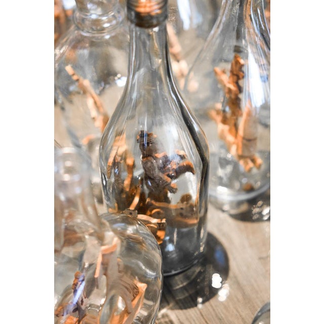 Bottles in Savoyard Folk Art, Set of 40 For Sale - Image 6 of 16