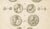 Tardieu, Antique Print of Ancient Greek Coins and Medals, 1825, Engraving For Sale - Image 4 of 9
