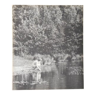 Vintage Mid Century Nude Photogravure C.1941 For Sale