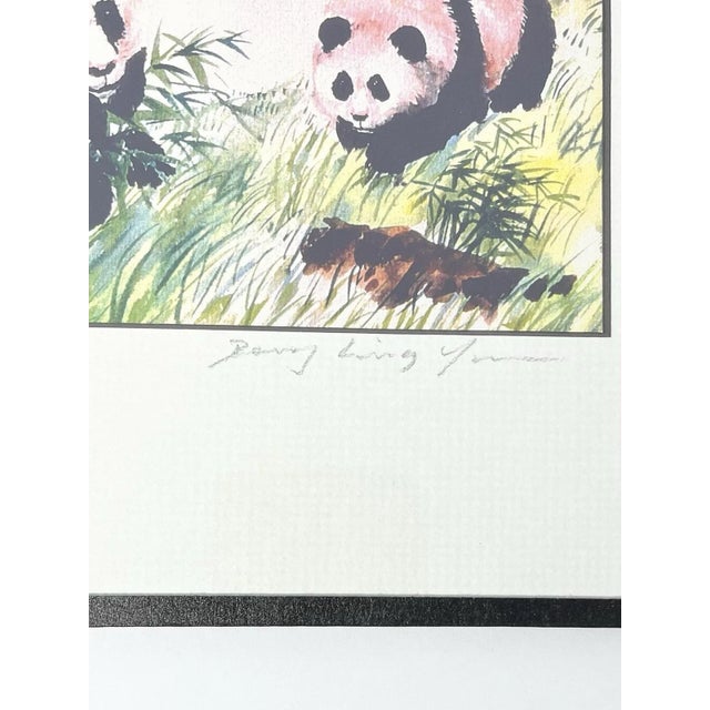 Dong Liang Yuan Set of 4 Framed & Matted Small Signed “Panda” Prints For Sale - Image 11 of 16