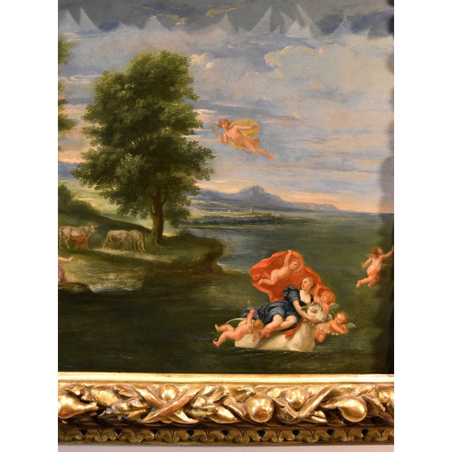 Follower of Francesco Albani, Abduction of Europa, 1700, Oil on Board For Sale - Image 8 of 13