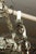 Early 20th Cent. French Two-Tier Chandelier With Vine and Tendril Motif For Sale In Atlanta - Image 6 of 16