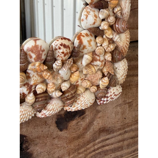 Shell Vintage Organic Coastal Seashell Wall Mirror For Sale - Image 7 of 9