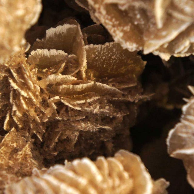 Late 20th Century Very Large Selenite Desert Rose Crystal Cluster Rock Formation For Sale - Image 4 of 11