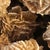Late 20th Century Very Large Selenite Desert Rose Crystal Cluster Rock Formation For Sale - Image 4 of 11