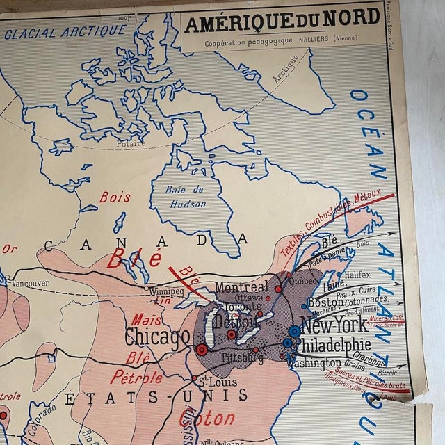 Vintage 1950s Double-Sided School Map South America / North America, 1950s, Cardboard For Sale - Image 12 of 13