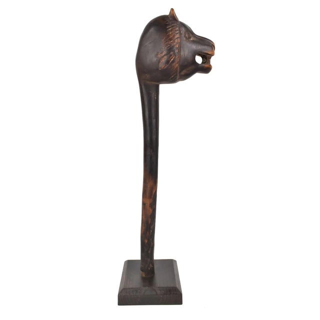 The Makonde people, residing in both Tanzania and Mozambique, boast a distinctive cultural identity that has evolved...