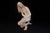 1920s Ludovica Le Bertetti, Large Nude Sculpture, 1920s, Ceramic For Sale - Image 5 of 5