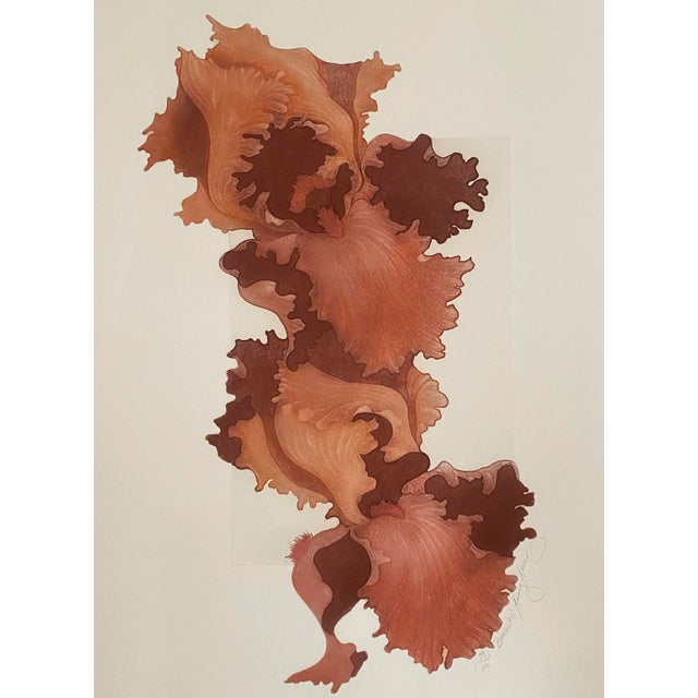 1980s Iris Floral Still Life Etching For Sale - Image 4 of 4