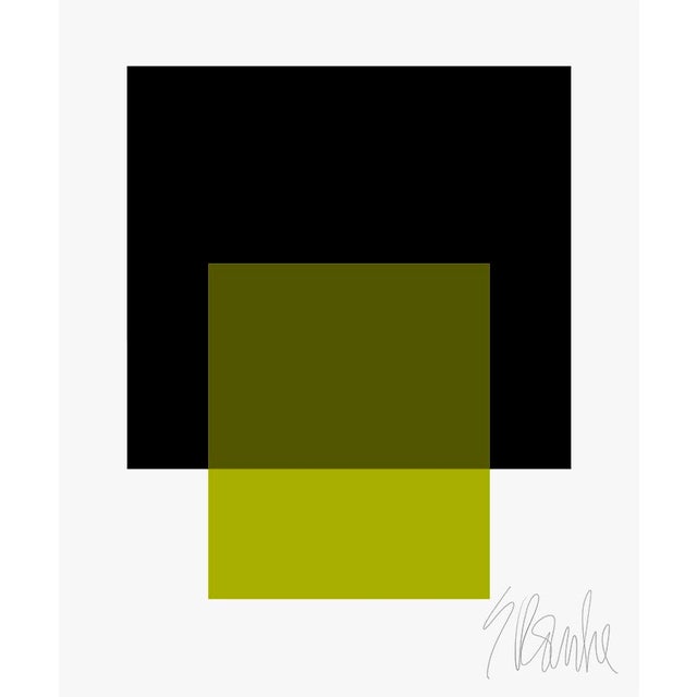 The Interaction of Black and Leaf Green Fine Art Print 40" X 50" by Liz Roache For Sale In Boston - Image 6 of 6