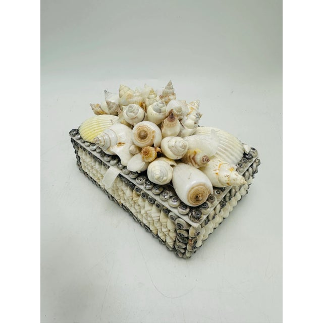 Shell Vintage Shell Box For Sale - Image 7 of 9