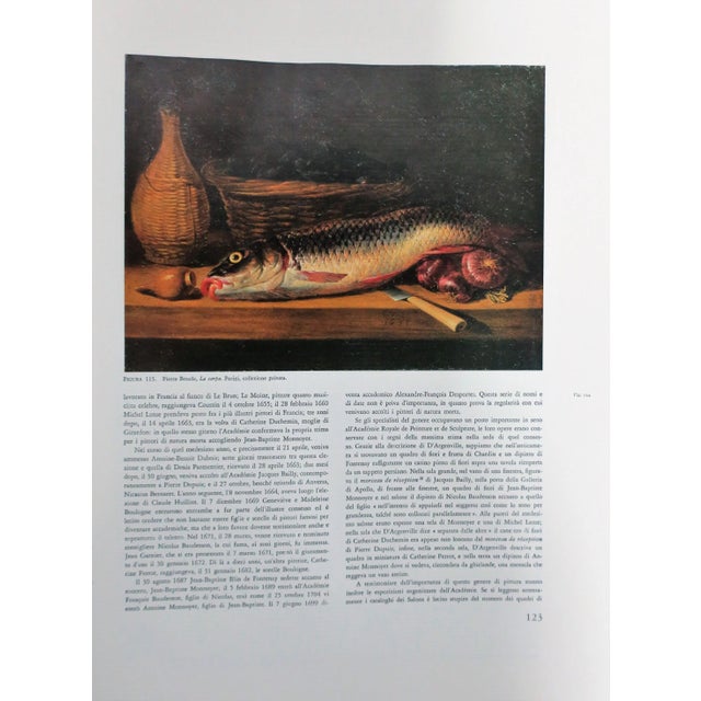 Paper Nature Posing the Grand Season of Still Life of Europe & Italy Coffee Table Book, 1977 For Sale - Image 7 of 13