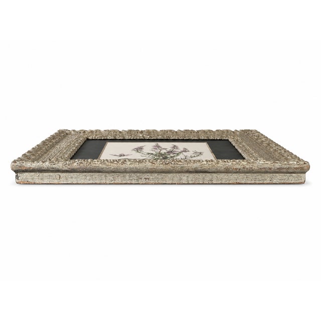 Antique Victorian Ornate Silvered Frame With French Heather Botanical Print For Sale In New York - Image 6 of 9