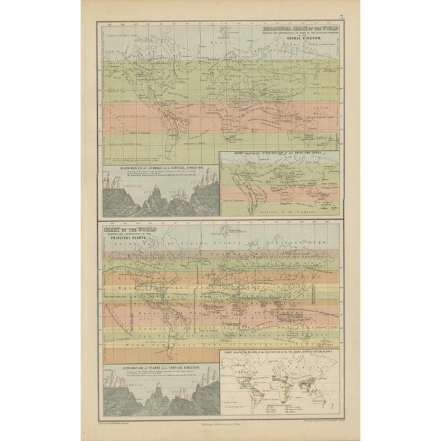 Antique Chart of the World, 1870 For Sale - Image 12 of 12