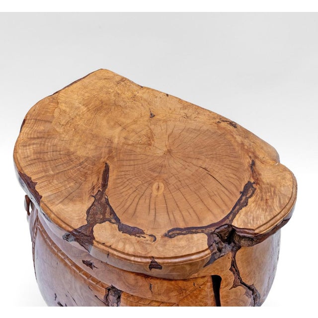 2000 - 2009 Pierre Decorse Organic Sculptural Olive Burr Wood Wabi Sabi Side Cabinet 2003 For Sale - Image 5 of 15