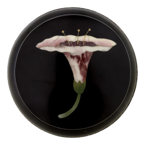 Signed Italian Silver Mounted Pietra Dura Paperweight With Flower by G. Fiaschi