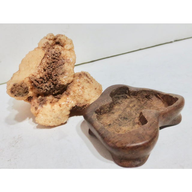 Late 20th Century Gobi Agate Specimen on Wooden Stand For Sale - Image 5 of 6