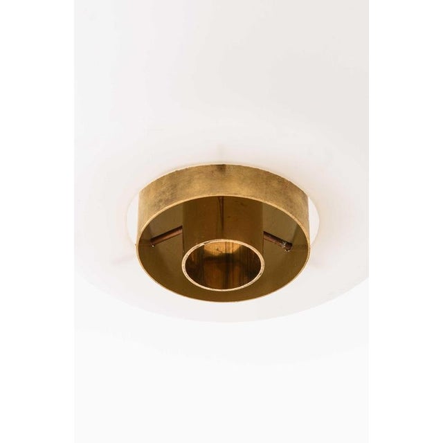 Mid-Century Flush Mounts in Brass and Opaline Glass by Lisa Johansson-Pape, 1950s For Sale - Image 3 of 7