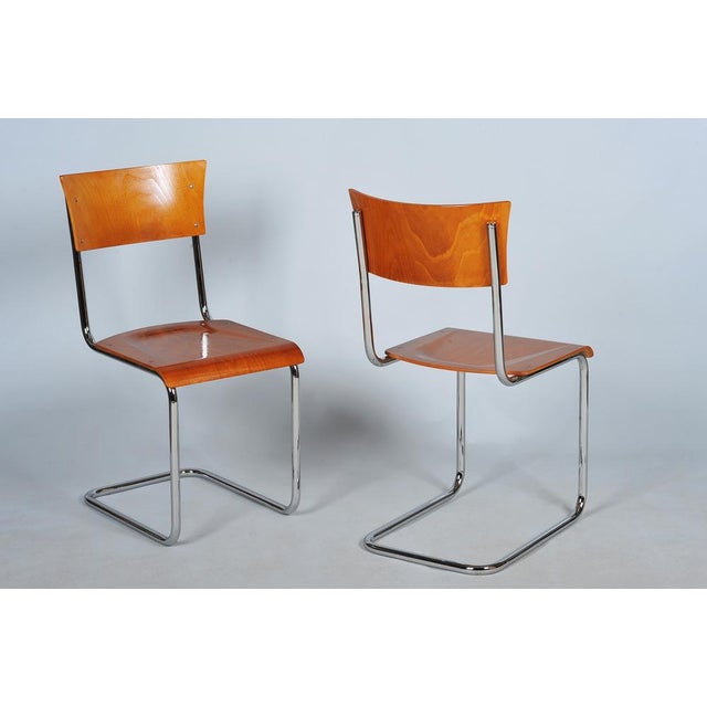 Bauhaus Chairs in Beech and Chromed Steel, Czech, 1930s, Set of 2 For Sale - Image 11 of 11