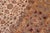 1990s Floral Pak-Persian Beige/Tan Wool Rug - 9'1'' X 12'0'' For Sale - Image 5 of 9