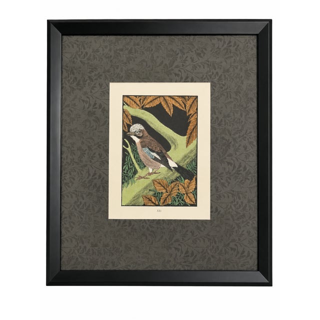 Set of Three Framed Eric Daglish Bird Lithographs From Birds of the British Isles — Jay, Nutcracker & Bullfinch c.1950 For Sale - Image 4 of 5