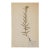 Antique Swedish Herbarium - Yarrow, Circa 1908 For Sale