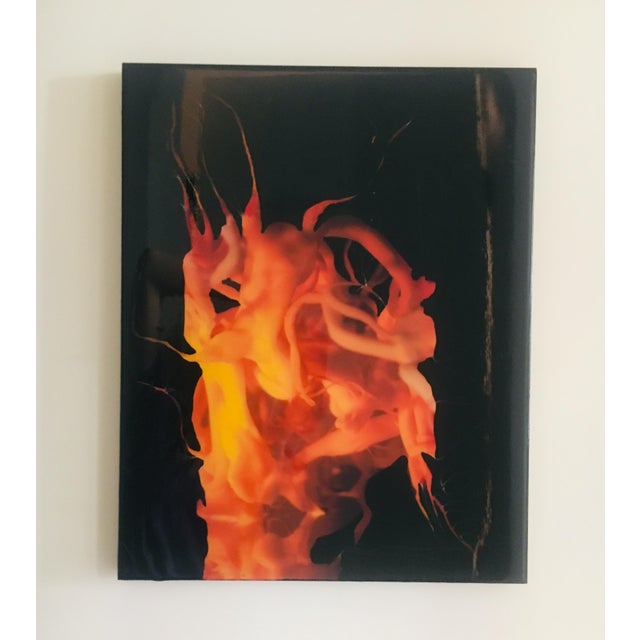 Ben Weiner Painting 20" x 16" Shellac on board Ben Weiner's paintings of liquids, gels merge varied notions of art as...