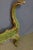 1950s Louis XV Style Bed in Gilded Wood, 1950s For Sale - Image 5 of 13