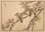 Mid 19th Century Kono Bairei, Birds and Flowers, 19th Century, Woodcut, Framed For Sale - Image 5 of 5