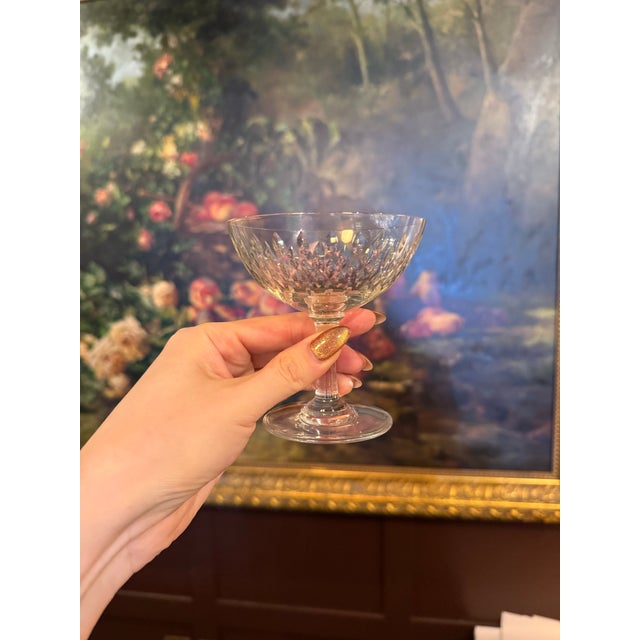 A beautiful set of eight antique Baccarat crystal sherbet or coupe glasses, featuring a classic cut pattern of elongated...