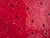 Bordallo Pinheiro Watermelon Charger Plate Watermelon Plates Platter For Sale - Image 9 of 15