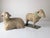 Sculpture Materials Stucco Sheep Figures, Early 20th Century, Set of 2 For Sale - Image 7 of 18