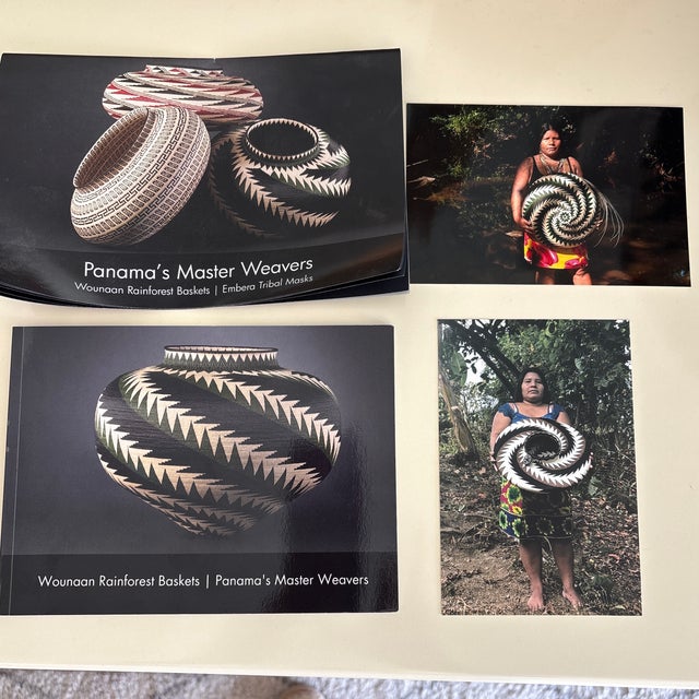 Textile Beautiful 21st Century Wounaan Rainforest Basket For Sale - Image 7 of 10