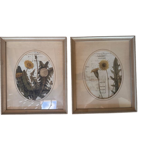 Vintage Floral Print - Les Fleurs Du Temps For Sale In Reno/Lake Tahoe - Image 6 of 6