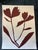 Striking and painterly dark red abstract botanical silhouette against a bright white background, on thick fine art paper,...