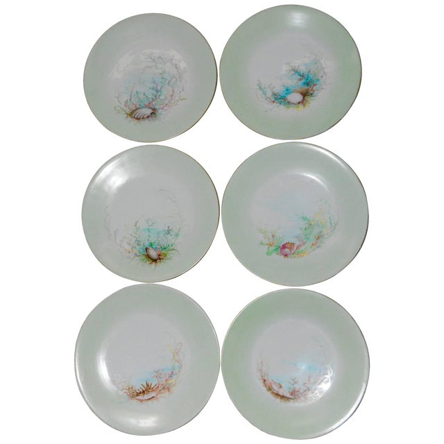 Limoges T & V French Plates With Seashell Paintings by m.h. Dismukes in 1898 For Sale