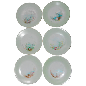 Limoges T & V French Plates With Seashell Paintings by m.h. Dismukes in 1898
