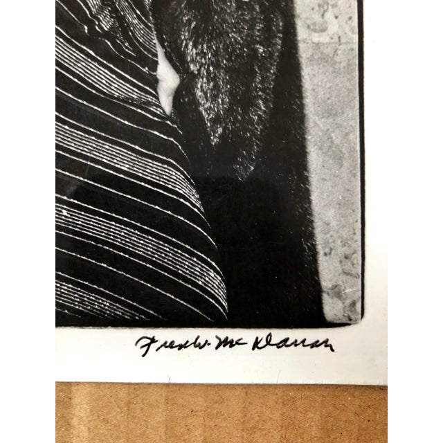 American Fred McDarrah, Vintage Print Silver Gelatin Signed Photograph Brazilian Actress Sonia Braga, 1978 For Sale - Image 3 of 5