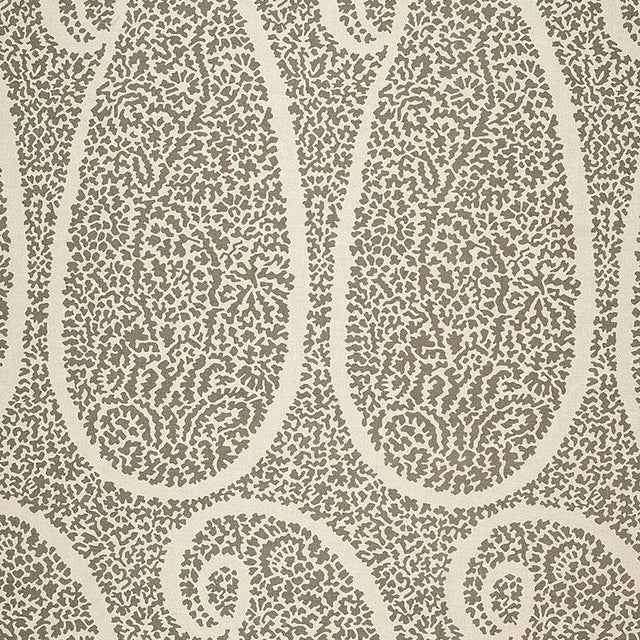 Schumacher Ambala Paisley Fabric in Greige For Sale