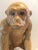 Hollywood Regency Vintage 1980s Large Terracotta Monkey For Sale - Image 3 of 10