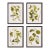Floral And Berry Study, Set Of 4 For Sale
