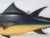 Carved Tuna Fish with Painted Finish For Sale - Image 4 of 12