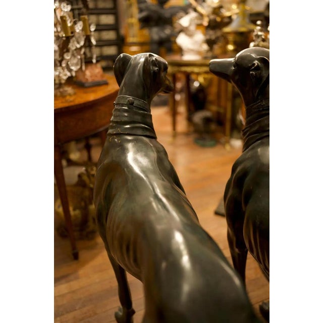 Life-Size Art Deco Greyhound Sculptures in Bronze, Set of 2 For Sale - Image 9 of 12