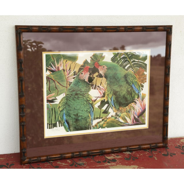 Tropical Parrot Limited Edition Print by Pam Mark 'Birds of Paradise' in Faux Bamboo Frame For Sale - Image 18 of 18