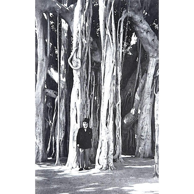 1st Edition Book, "Cecil Beaton, a Retrospective", by David Mellor, Cecil Beaton For Sale - Image 15 of 17