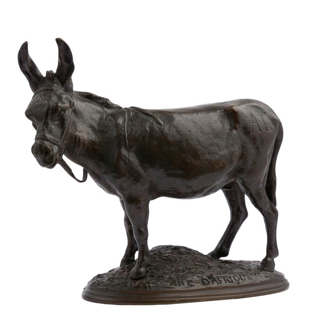 French Antique Bronze Sculpture “African Donkey” by Auguste Nicholas